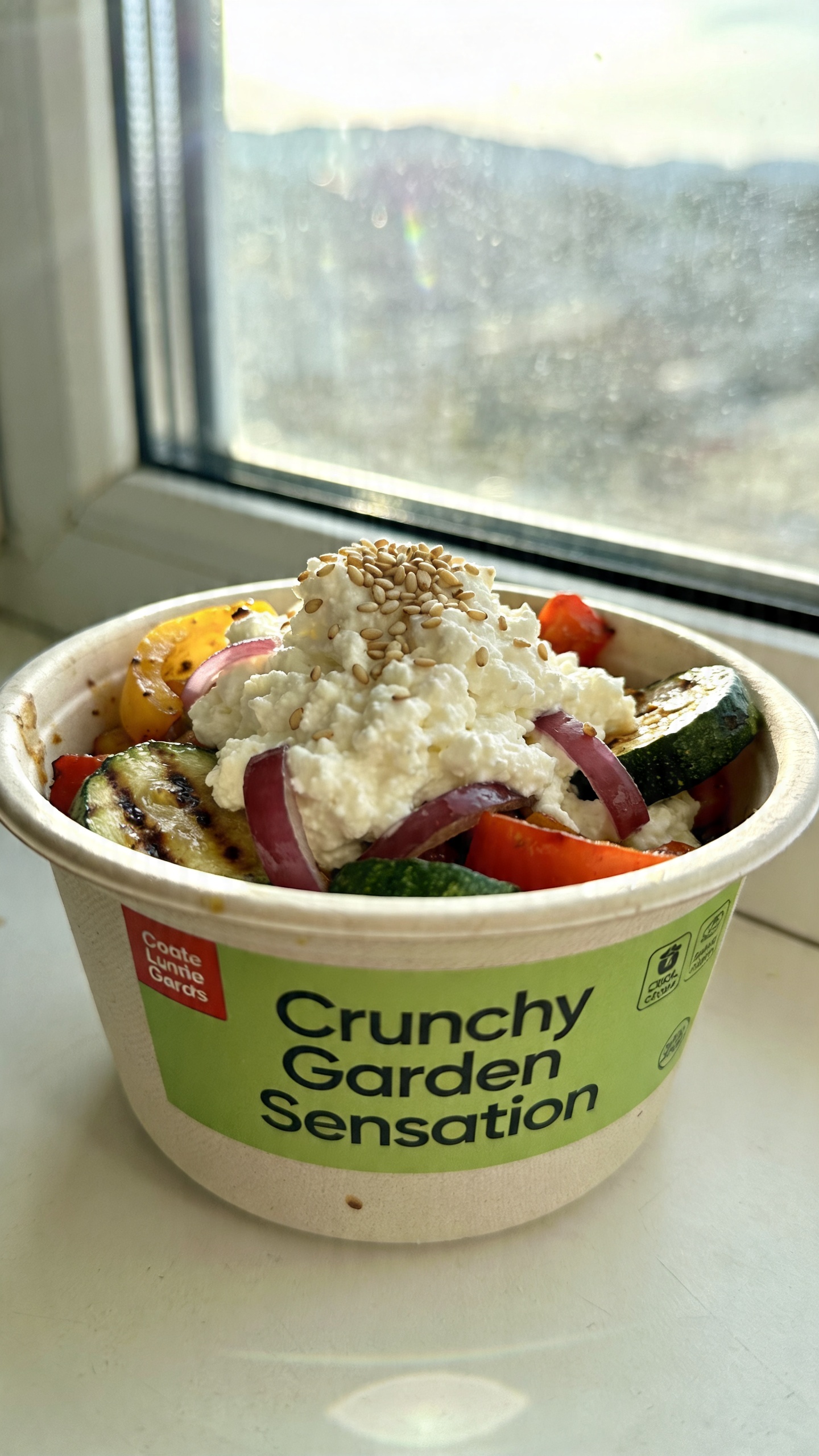 A real, authentic photo of a cottage cheese lunch bowl featuring Crunchy Garden Sensation: cottage cheese topped with roasted zucchini, bell peppers, and red onion, sprinkled with sesame or sunflower seeds for crunch. The dish should look like a wholesome, lunch-box friendly bowl, with warm roasted veggies mixed into cottage cheese, and seeds finishing the top. The setting is casual and unposed, as if photographed quickly for a workday lunch idea. Use natural window light, a slightly imperfect, realistic feel, and a casual tabletop or lunchbox scene. Include realistic phone-camera imperfections: slight overexposed highlights from the window, gentle lens flare, minor motion blur or slight camera shake, grain that varies with light, and a slightly tilted horizon. The image should appear like it was taken with an iPhone, in 1080p-ish quality, with no staged setup or obvious professional lighting. No text on the image. Optional subtle post-processing hints: small amount of compression, a hint of smart blur with mild sharpening, and recoloring that keeps the image looking natural but slightly flattened. No words or captions.