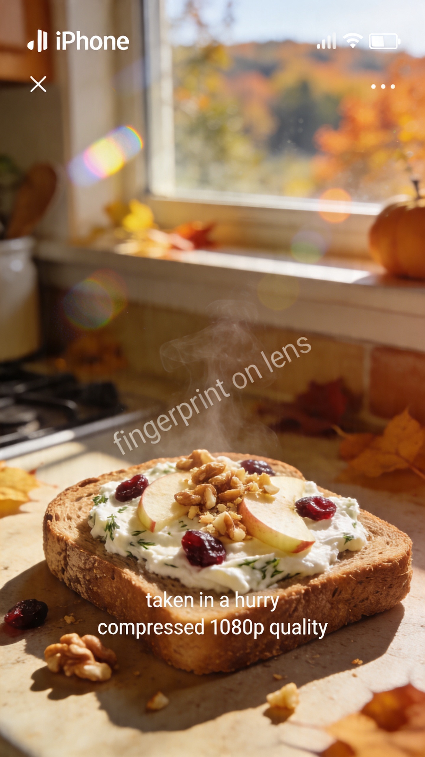 Harvest-inspired cottage cheese toasties on a cozy autumn kitchen counter: a sturdy slice of whole-grain bread topped with herbed cottage cheese, dotted with dried cranberries and small apple slices, sprinkled with crumbled walnuts. Warm, comforting colors in natural morning light from a nearby window, slight steam rising, imperfect but inviting. Scene captured as if shot quickly with an iPhone, casual composition, no staging, no mannequins. Include realistic phone-camera quirks: a few overexposed highlights from the window, gentle lens flare, minor motion blur from a hurried grab, grain that varies with the light, and a slightly tilted horizon. No text, no captions, no labels. The vibe is “fingerprint on lens,” “taken in a hurry,” “compressed, 1080p quality,” with a touch of post-processing that keeps it believable but not glossy: slight smart blur with sharpening and a soft color tweak to hint at a real photo. Shot in a real kitchen setting, morning sunlight casting soft shadows, food looking wholesome, approachable, and ready to eat.